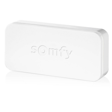 Somfy 2401487 - IntelliTAG | Détecteur auto-protégé de vibration et d'ouverture pour intérieur ou extérieur