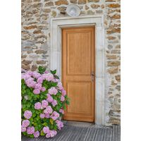 Porte d'entrée ANNAELLE bois exotique -Lapeyre